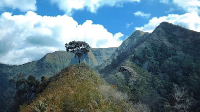 10 Tempat Wisata Alam Terbaik di Bandung untuk Liburan Anda
